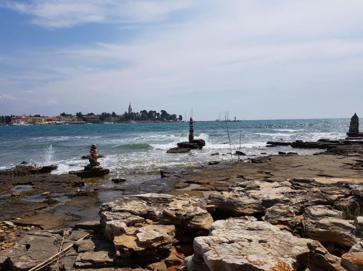 Apartman Tea Novigrad Istria Dış mekan fotoğraf